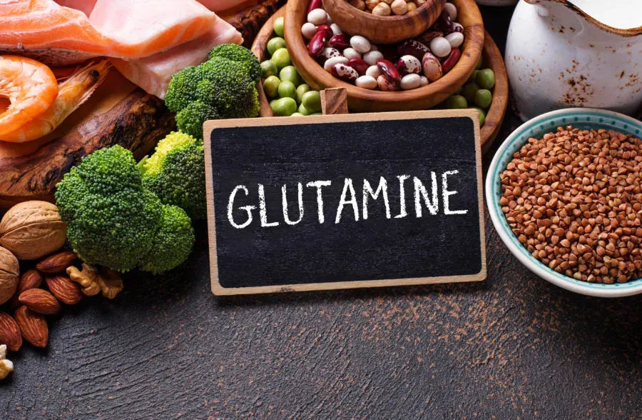 L-Glutamina: La Clave para una Salud Inmunológica y Digestiva Óptima